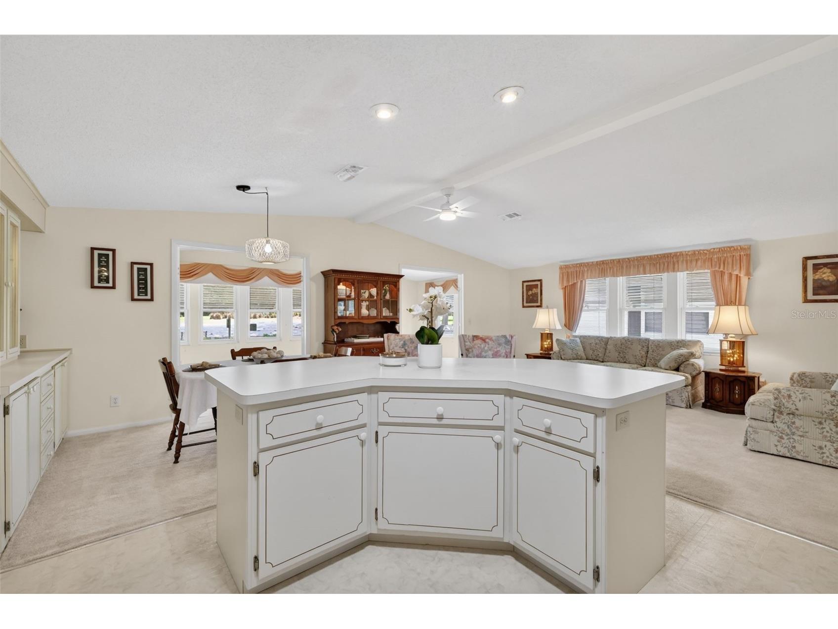 706 Tangerine Drive Lady Lake FL 32159 G5111790 image10