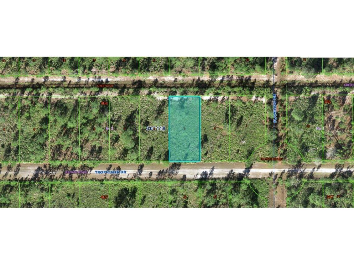 706 Tropicana Drive Indian Lake Estates FL 33855 O6312596 image1