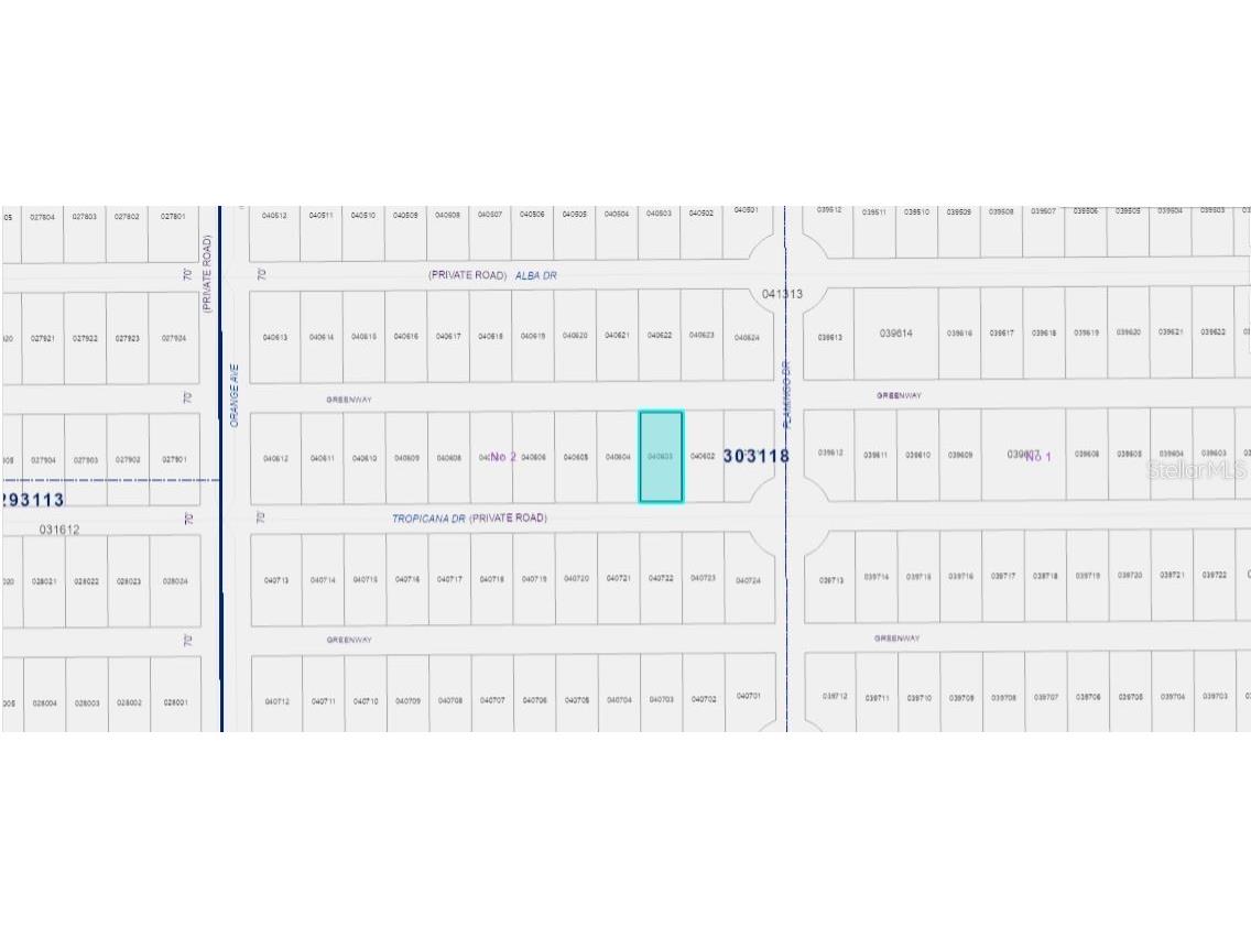 706 Tropicana Drive Indian Lake Estates FL 33855 O6312596 image3