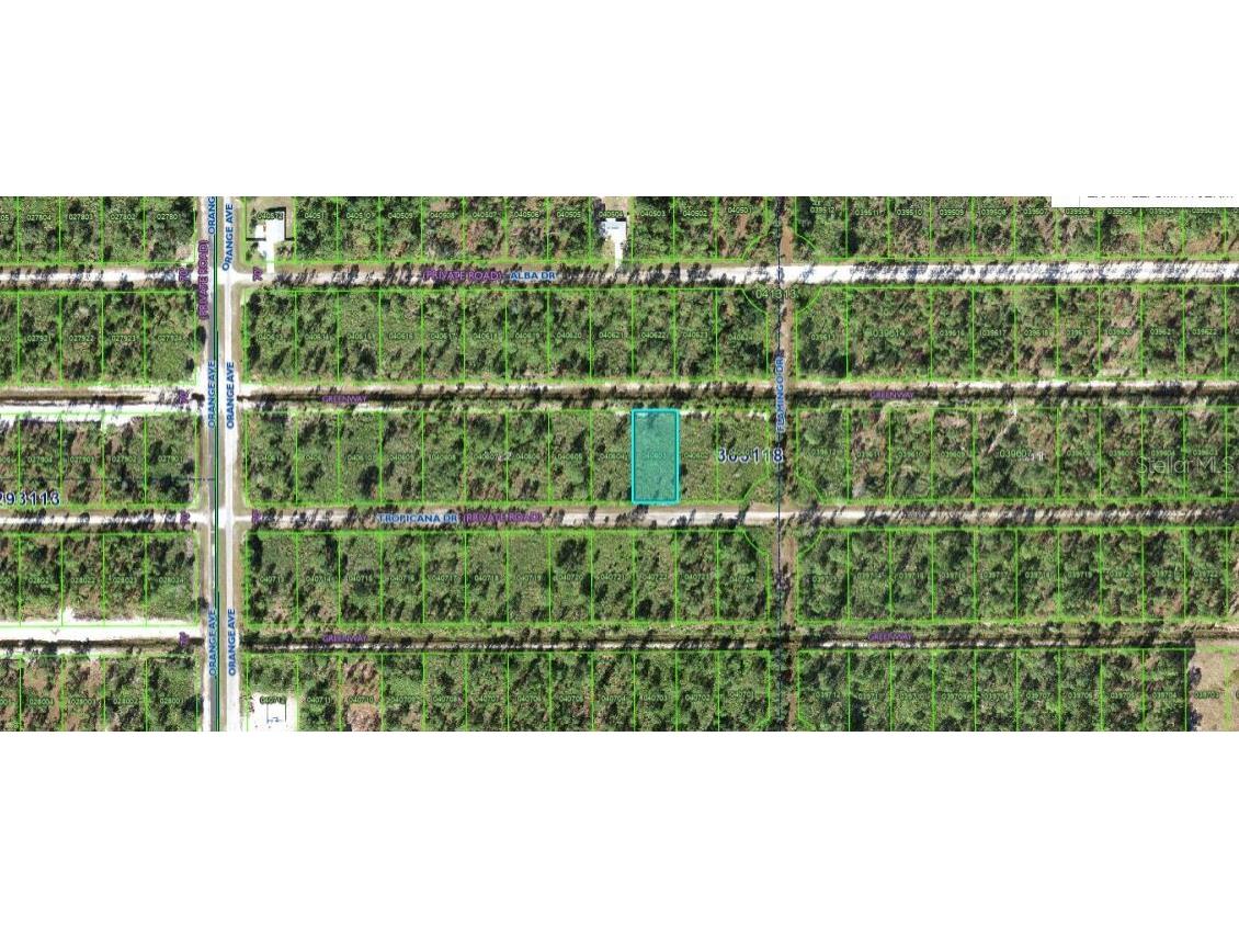 706 Tropicana Drive Indian Lake Estates FL 33855 O6312596 image4