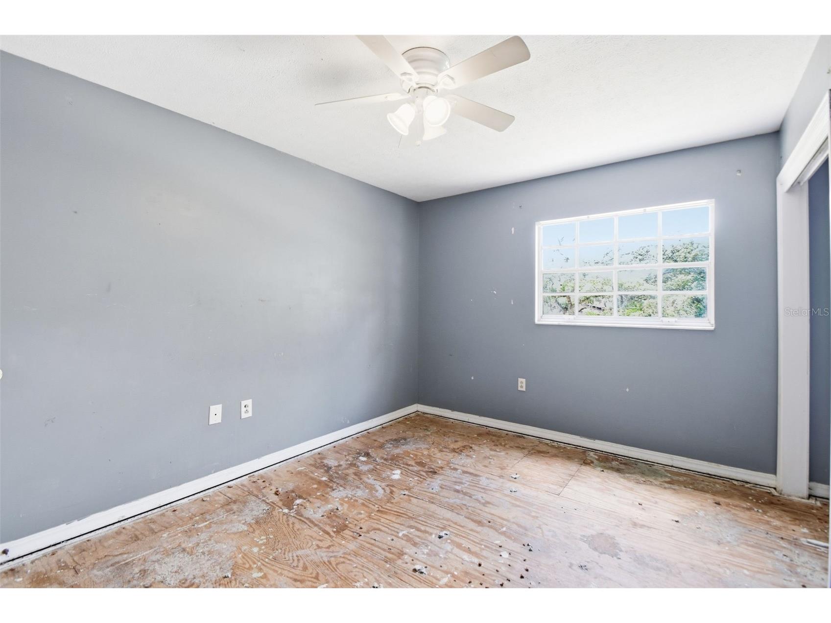 706 Westwood Circle Brandon FL 33511 O6408597 image33