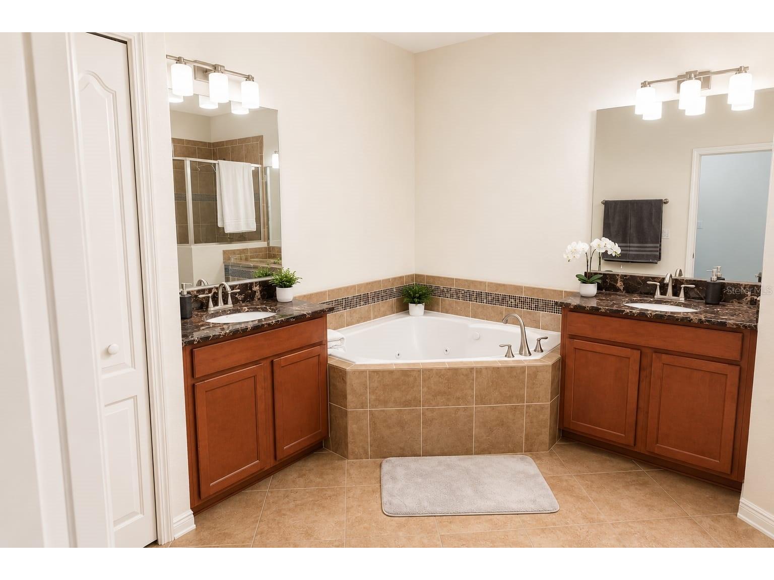 7060 Ventnor Drive Windermere FL 34786 S5153025 image23