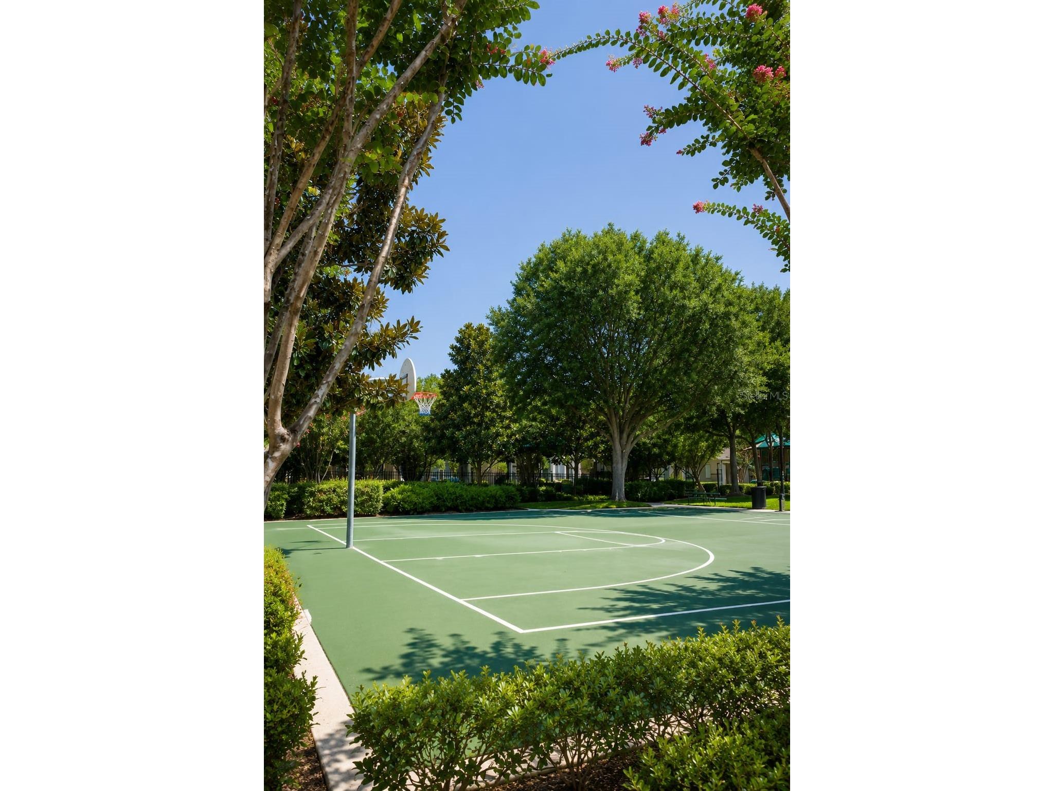 7060 Ventnor Drive Windermere FL 34786 S5153025 image34