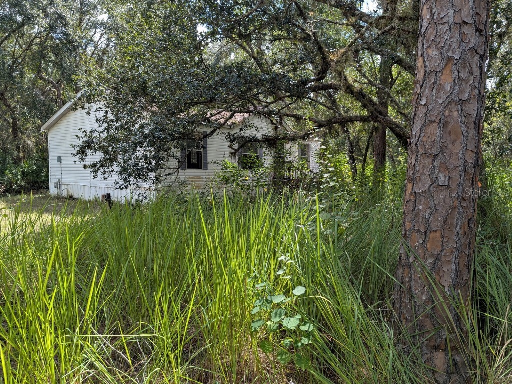 7062 Crooked Creek Lane Zolfo Springs FL 33890 C7515648 image10