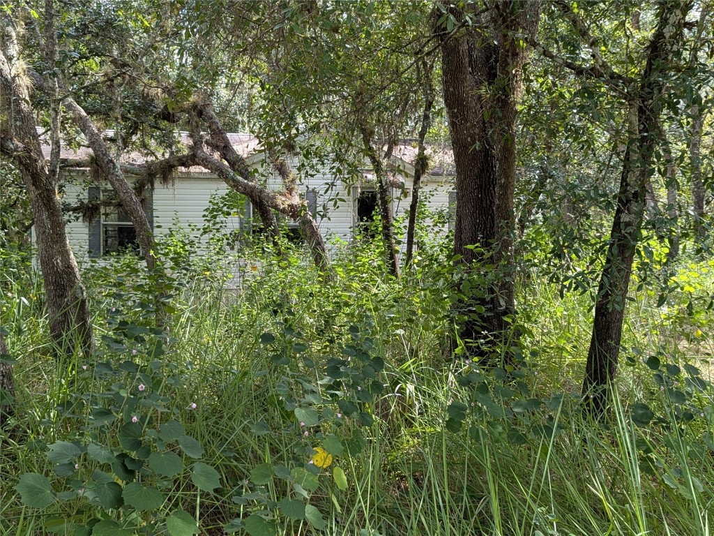 7062 Crooked Creek Lane Zolfo Springs FL 33890 C7515648 image11