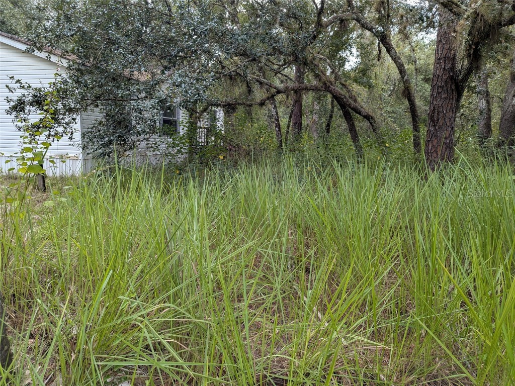 7062 Crooked Creek Lane Zolfo Springs FL 33890 C7515648 image12