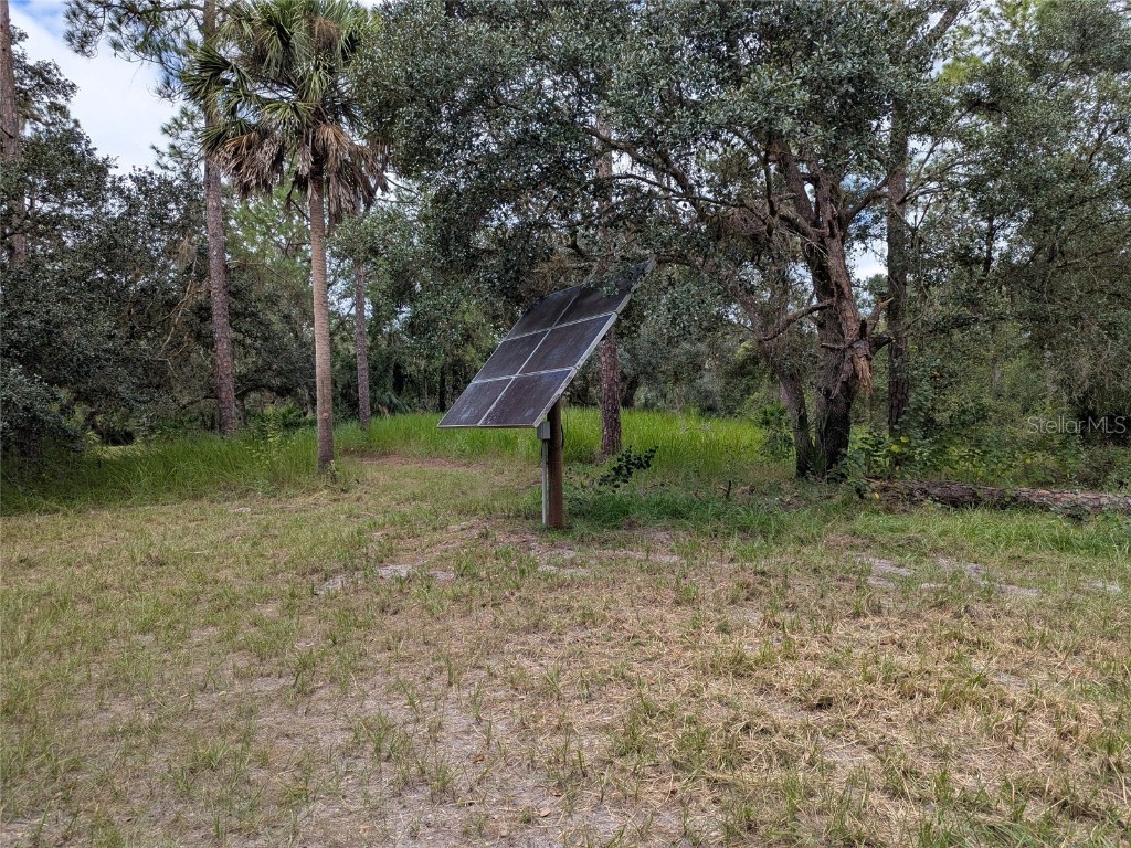 7062 Crooked Creek Lane Zolfo Springs FL 33890 C7515648 image18