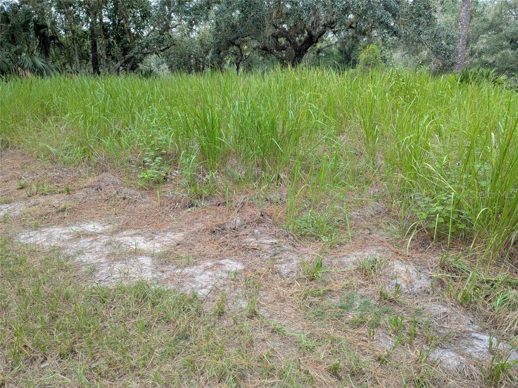 7062 Crooked Creek Lane Zolfo Springs FL 33890 C7515648 image19