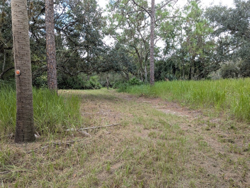 7062 Crooked Creek Lane Zolfo Springs FL 33890 C7515648 image2