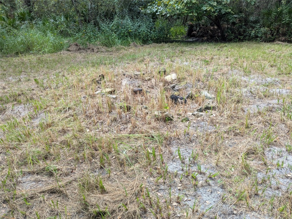 7062 Crooked Creek Lane Zolfo Springs FL 33890 C7515648 image20