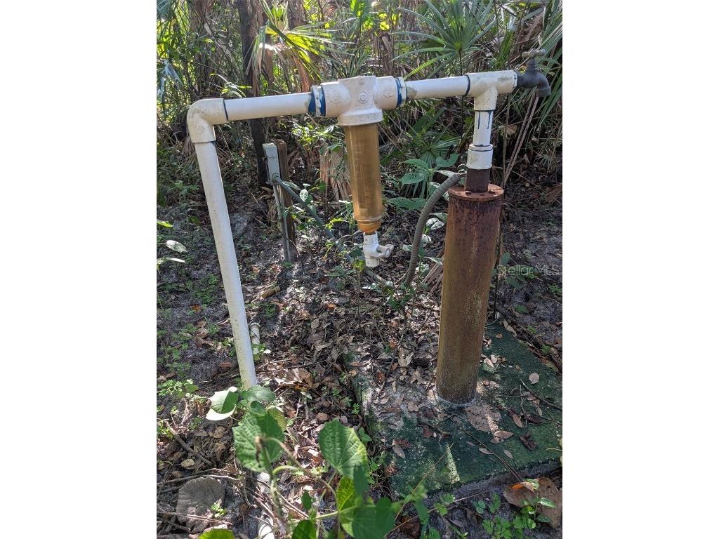 7062 Crooked Creek Lane Zolfo Springs FL 33890 C7515648 image22