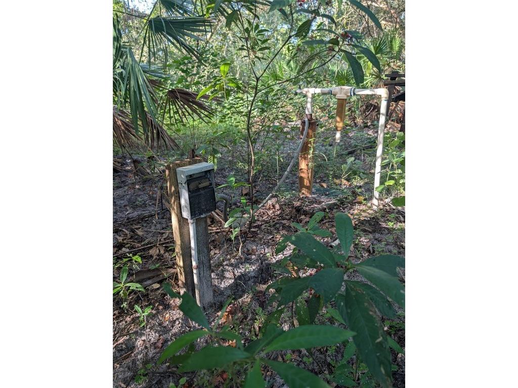 7062 Crooked Creek Lane Zolfo Springs FL 33890 C7515648 image23