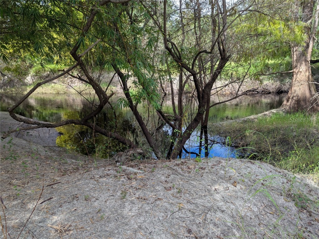 7062 Crooked Creek Lane Zolfo Springs FL 33890 C7515648 image24