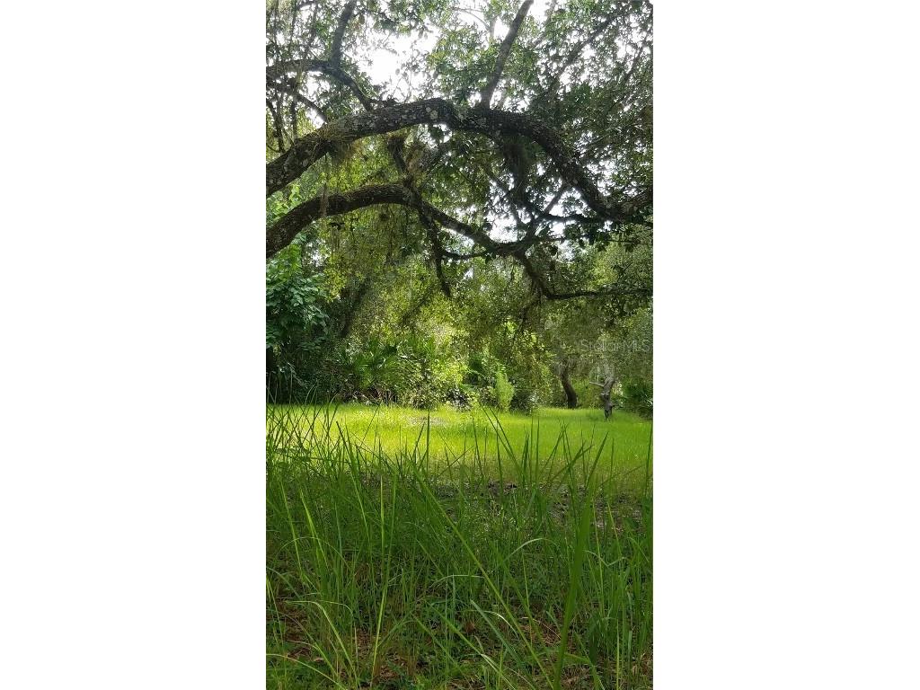 7062 Crooked Creek Lane Zolfo Springs FL 33890 C7515648 image27