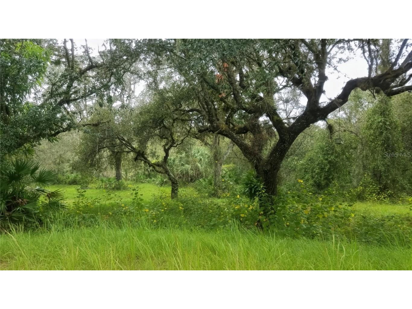 7062 Crooked Creek Lane Zolfo Springs FL 33890 C7515648 image28