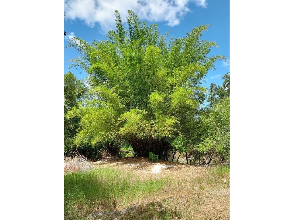 7062 Crooked Creek Lane Zolfo Springs FL 33890 C7515648 image29