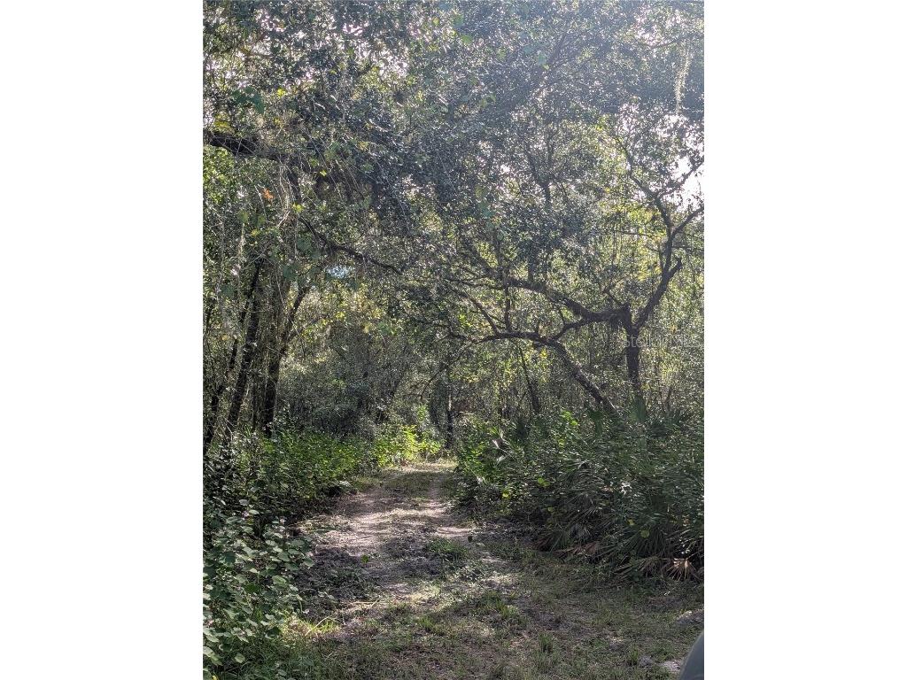 7062 Crooked Creek Lane Zolfo Springs FL 33890 C7515648 image3