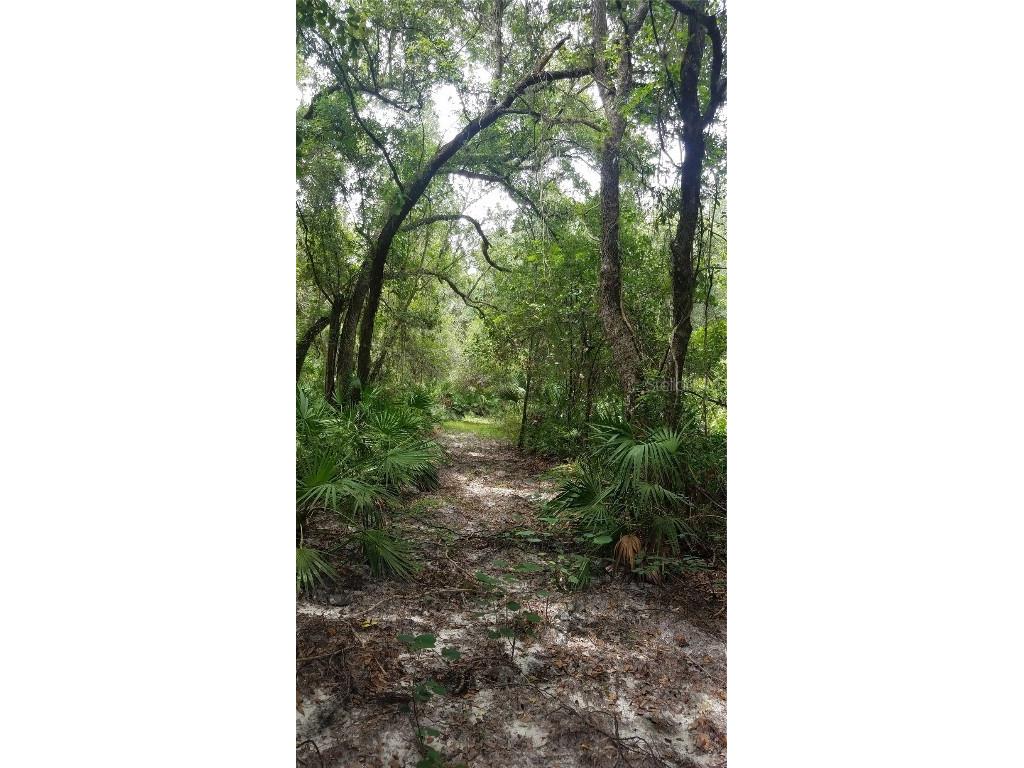 7062 Crooked Creek Lane Zolfo Springs FL 33890 C7515648 image30