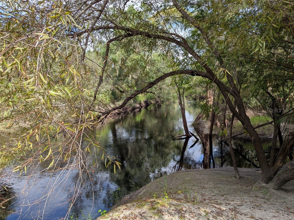 7062 Crooked Creek Lane Zolfo Springs FL 33890 C7515648 image31