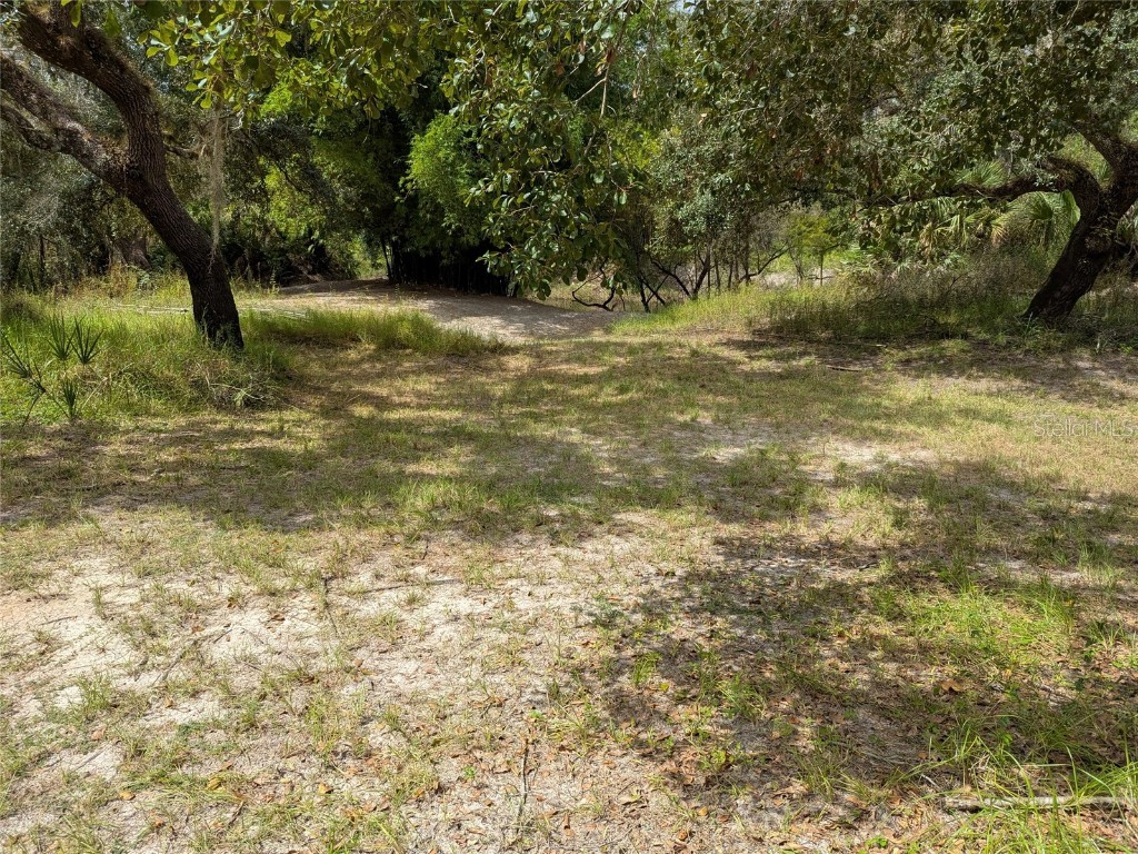 7062 Crooked Creek Lane Zolfo Springs FL 33890 C7515648 image36