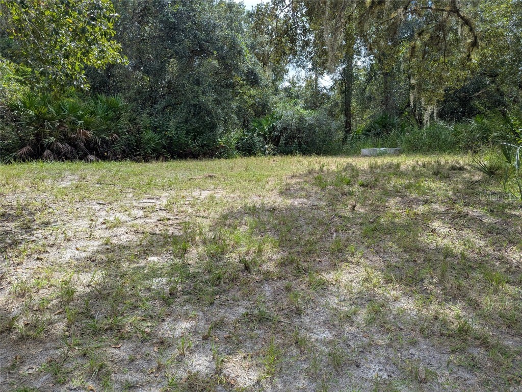 7062 Crooked Creek Lane Zolfo Springs FL 33890 C7515648 image39