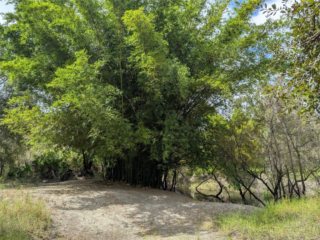 7062 Crooked Creek Lane Zolfo Springs FL 33890 C7515648 image41