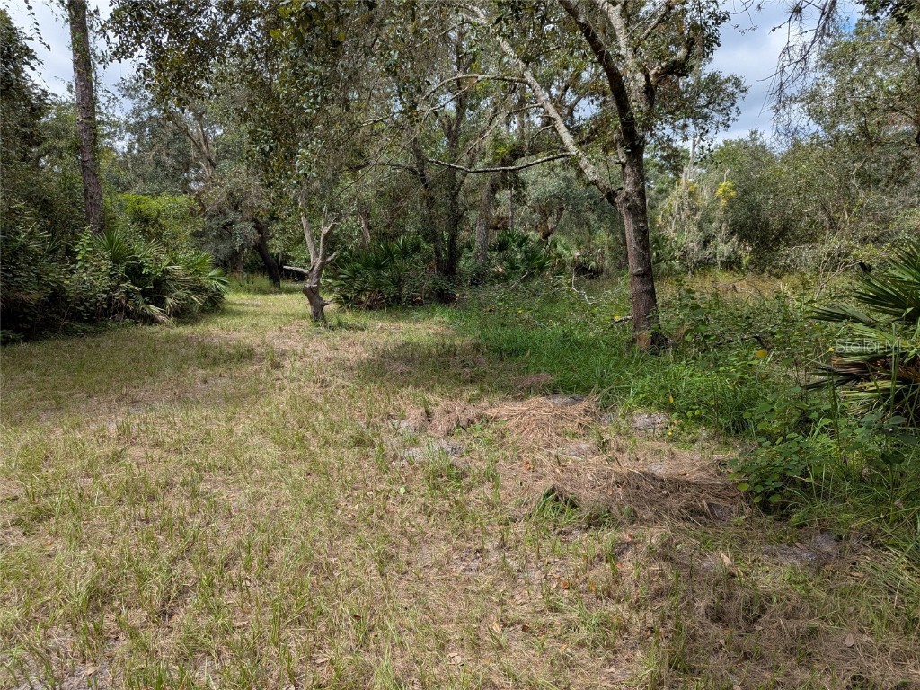 7062 Crooked Creek Lane Zolfo Springs FL 33890 C7515648 image42