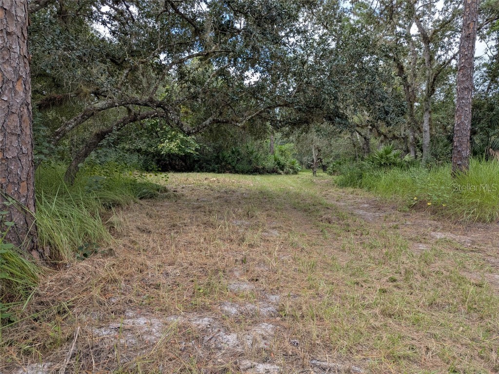 7062 Crooked Creek Lane Zolfo Springs FL 33890 C7515648 image43