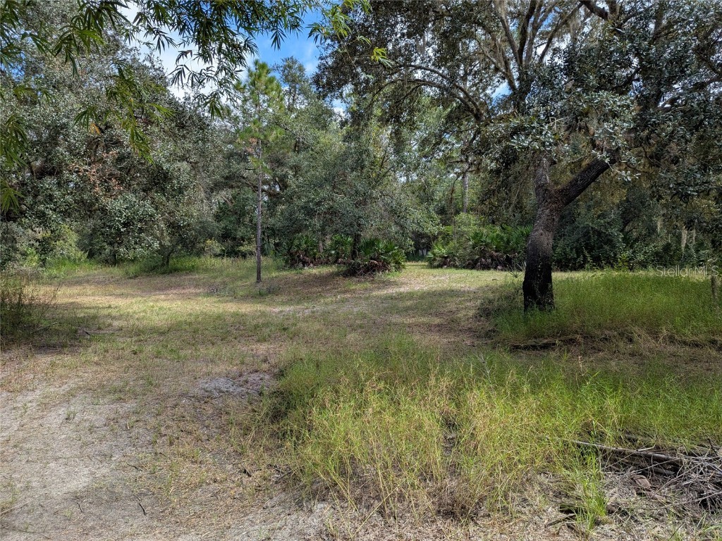 7062 Crooked Creek Lane Zolfo Springs FL 33890 C7515648 image44