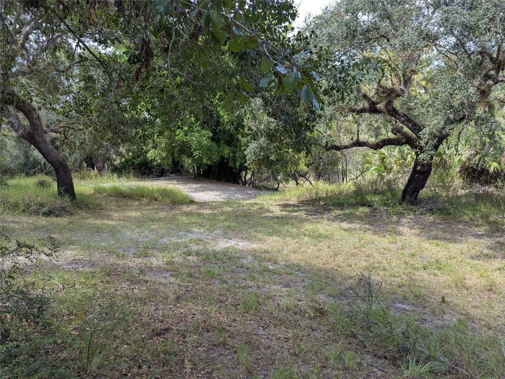 7062 Crooked Creek Lane Zolfo Springs FL 33890 C7515648 image45