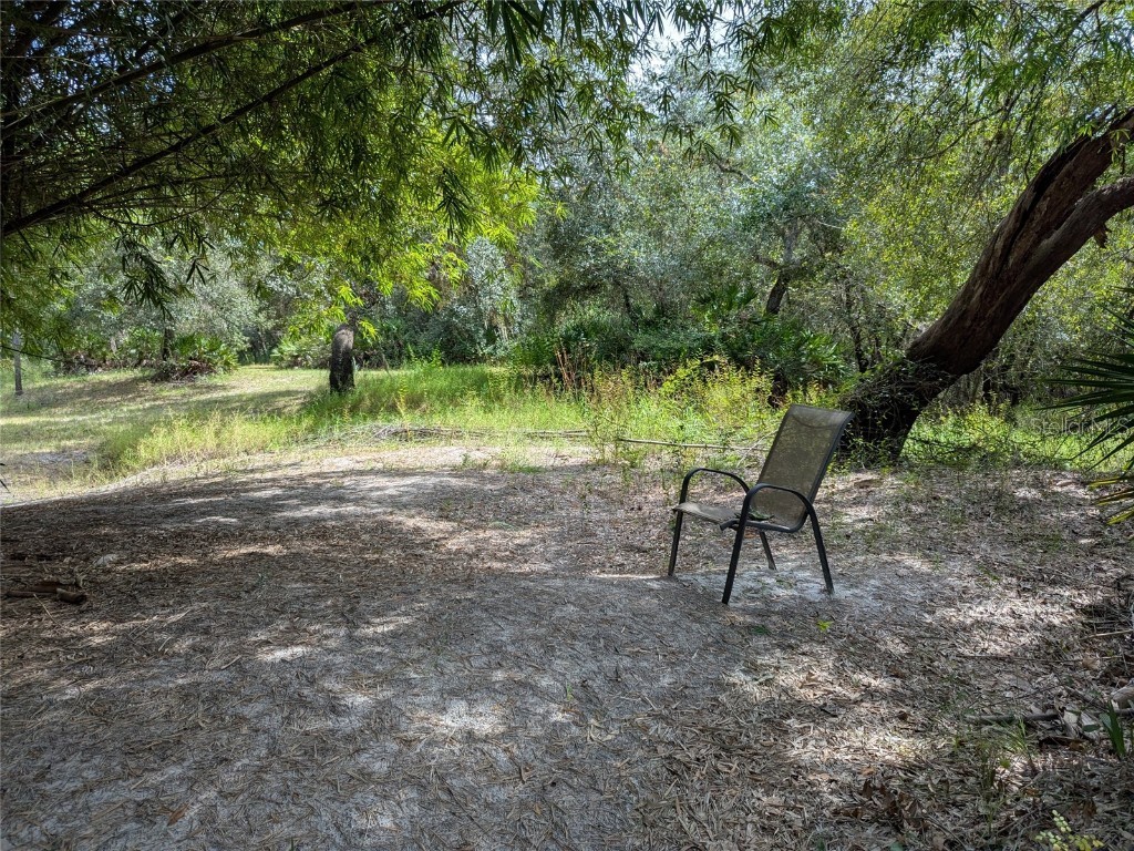 7062 Crooked Creek Lane Zolfo Springs FL 33890 C7515648 image46