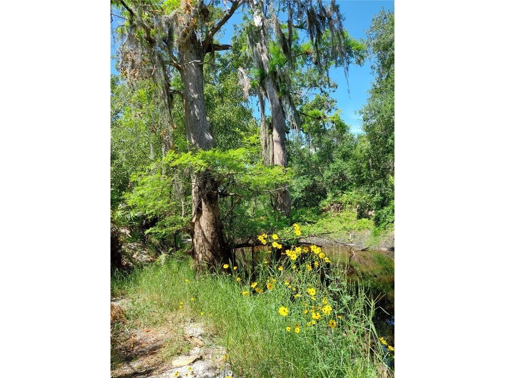 7062 Crooked Creek Lane Zolfo Springs FL 33890 C7515648 image47