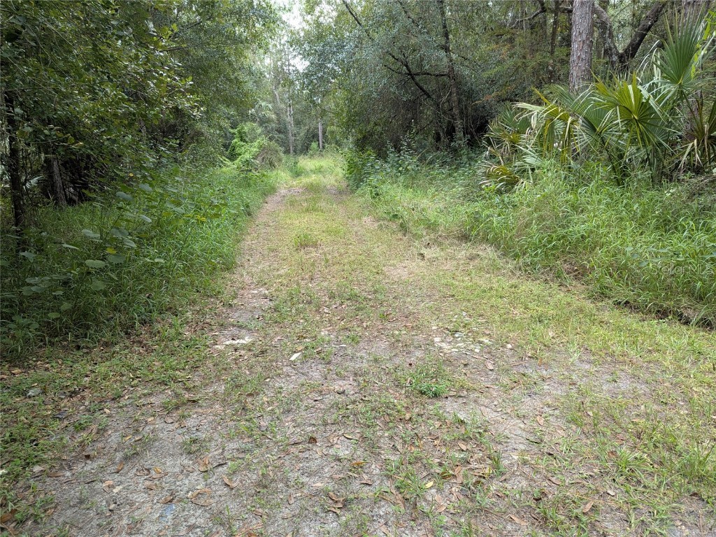 7062 Crooked Creek Lane Zolfo Springs FL 33890 C7515648 image48