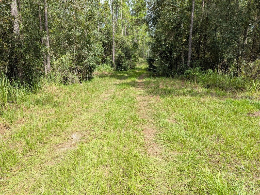 7062 Crooked Creek Lane Zolfo Springs FL 33890 C7515648 image49