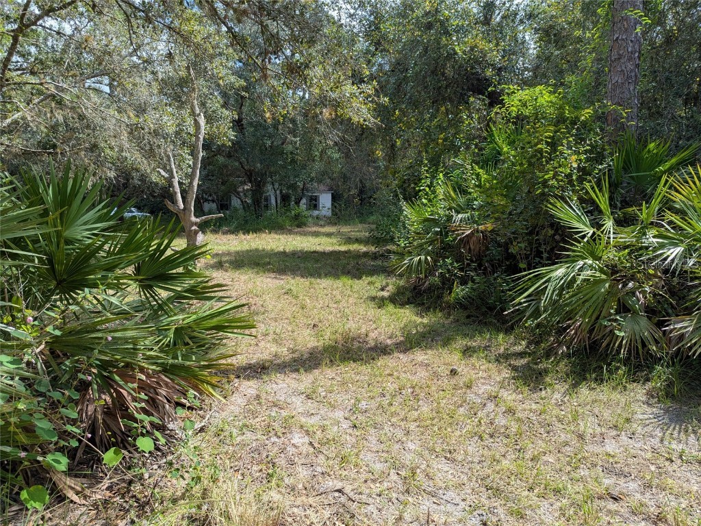 7062 Crooked Creek Lane Zolfo Springs FL 33890 C7515648 image8