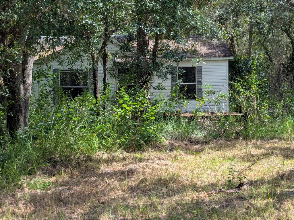 7062 Crooked Creek Lane Zolfo Springs FL 33890 C7515648 image9