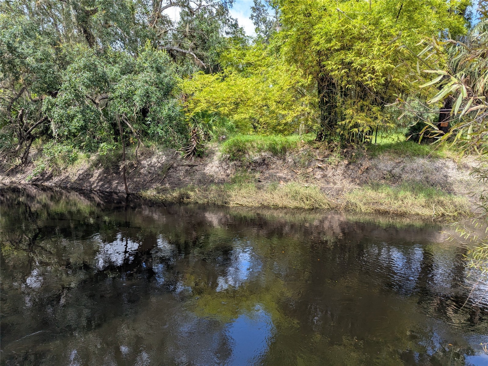 7062 Crooked Creek Zolfo Springs FL 33890 C7523361 image1