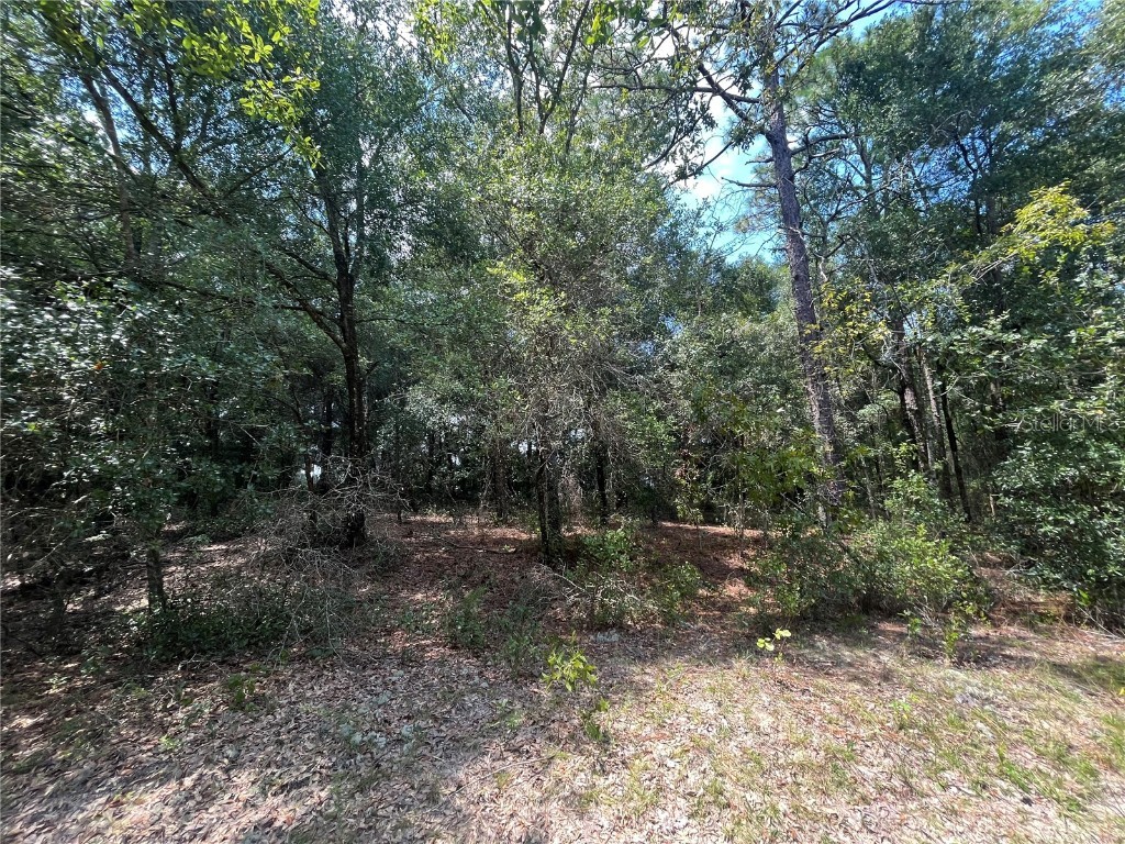 7062 Sewanee Street Keystone Heights FL 32656 OK223110 image1