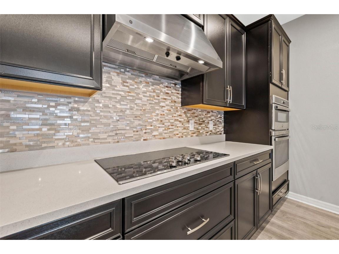 7063 Talamore Drive Wesley Chapel FL 33545 TB8419641 image12