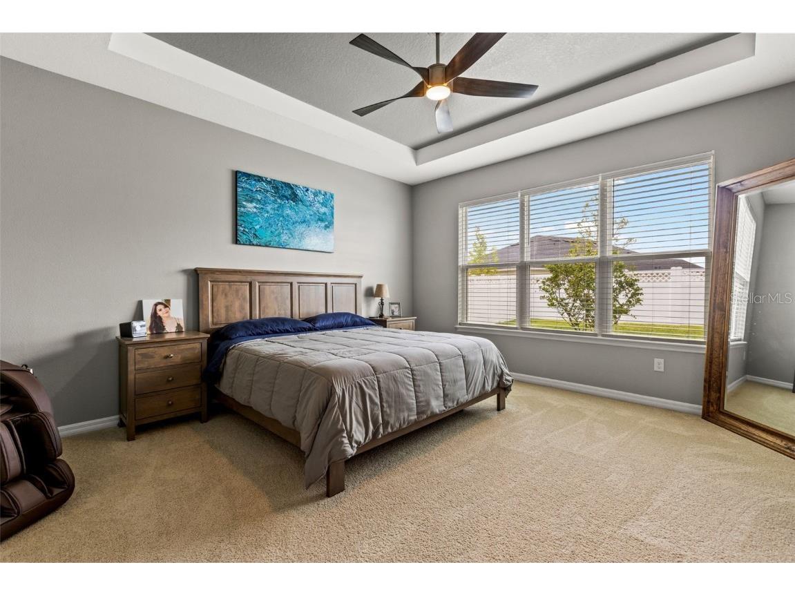 7063 Talamore Drive Wesley Chapel FL 33545 TB8419641 image22