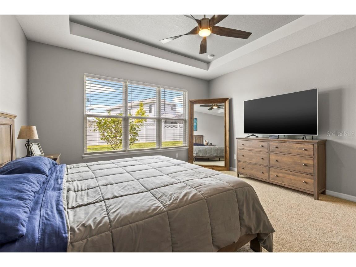 7063 Talamore Drive Wesley Chapel FL 33545 TB8419641 image23