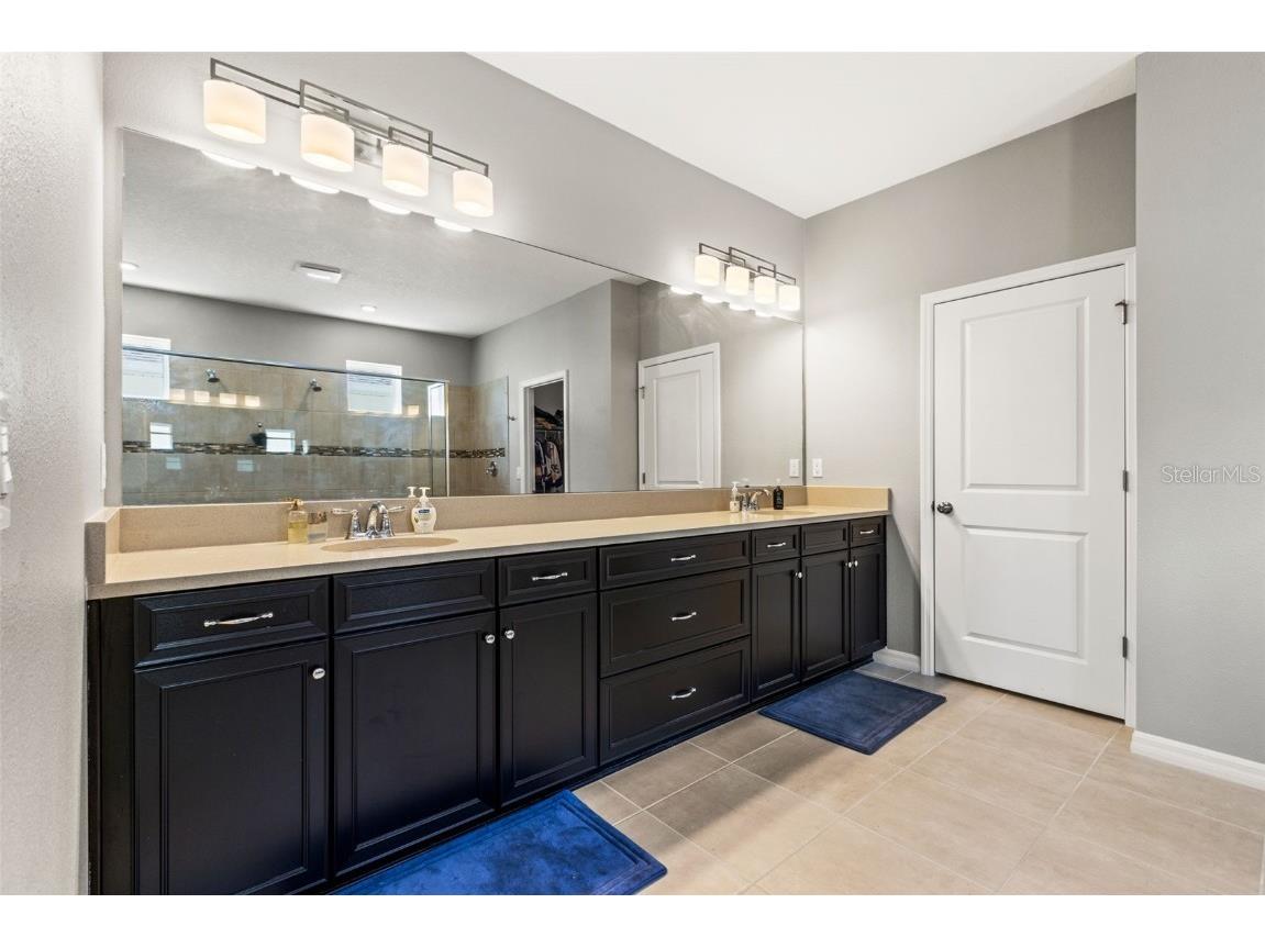 7063 Talamore Drive Wesley Chapel FL 33545 TB8419641 image25