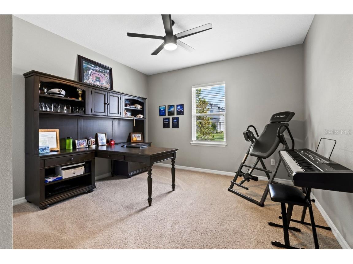 7063 Talamore Drive Wesley Chapel FL 33545 TB8419641 image29