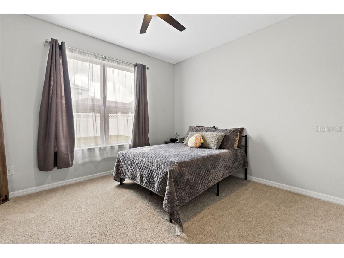 7063 Talamore Drive Wesley Chapel FL 33545 TB8419641 image33