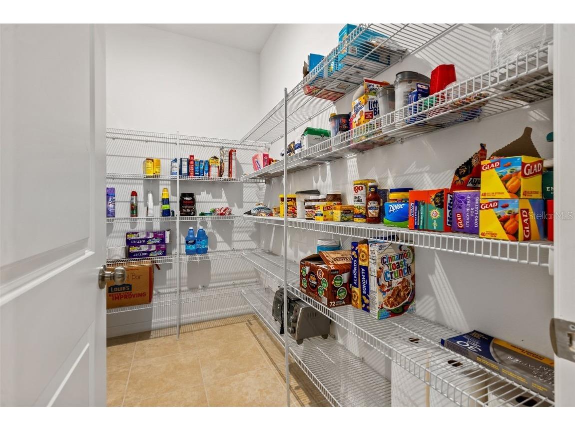 7063 Talamore Drive Wesley Chapel FL 33545 TB8419641 image36