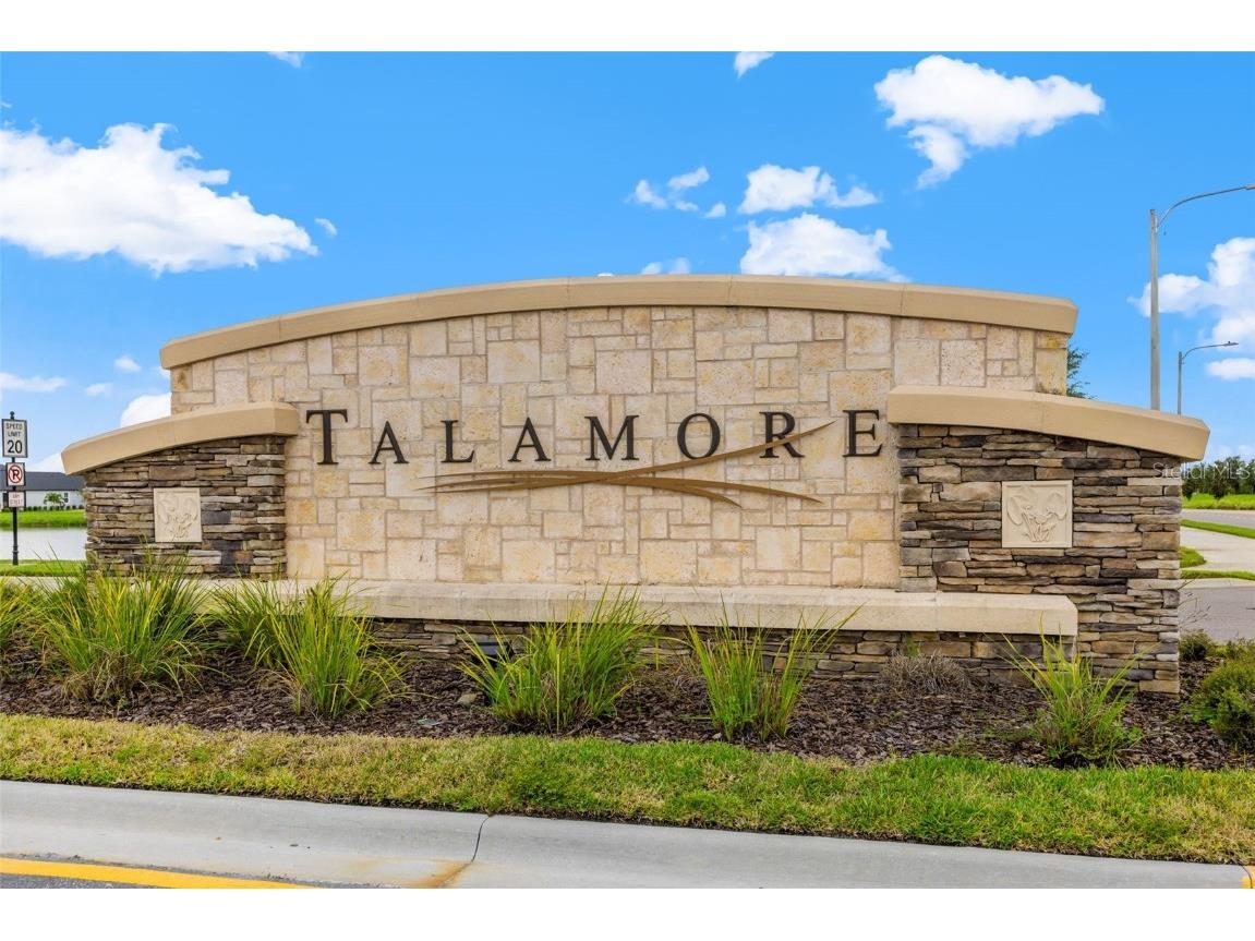 7063 Talamore Drive Wesley Chapel FL 33545 TB8419641 image46