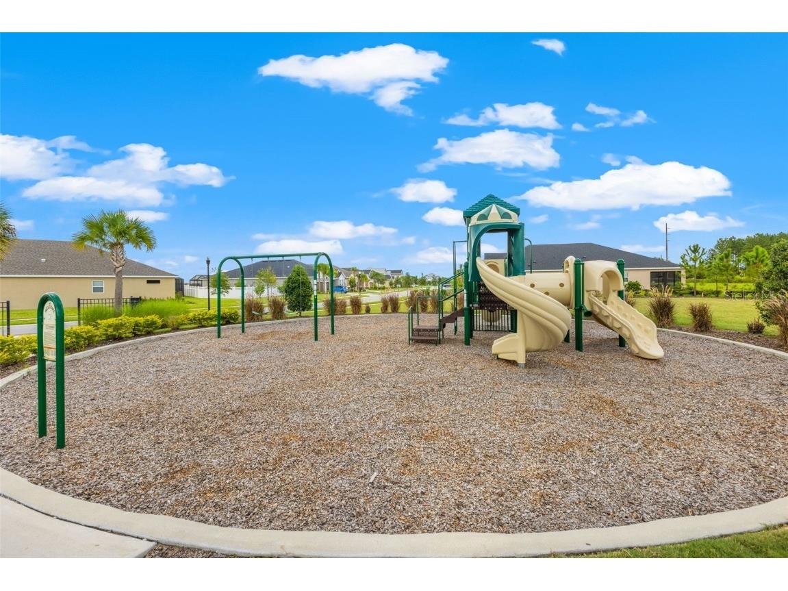 7063 Talamore Drive Wesley Chapel FL 33545 TB8419641 image50