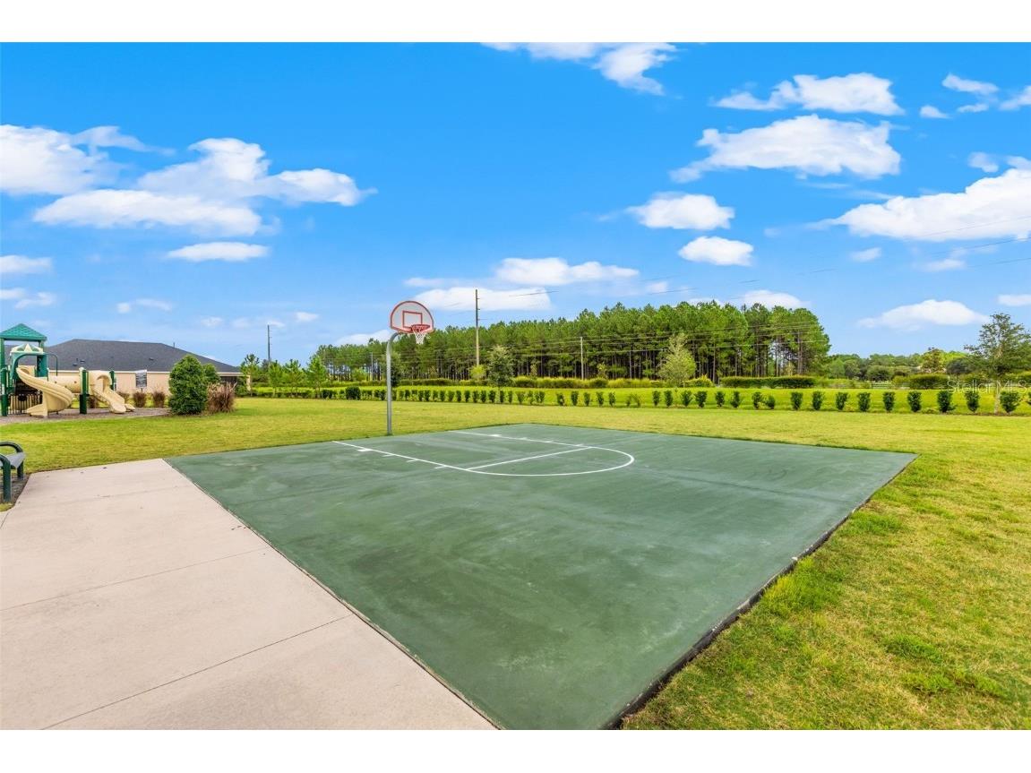 7063 Talamore Drive Wesley Chapel FL 33545 TB8419641 image51