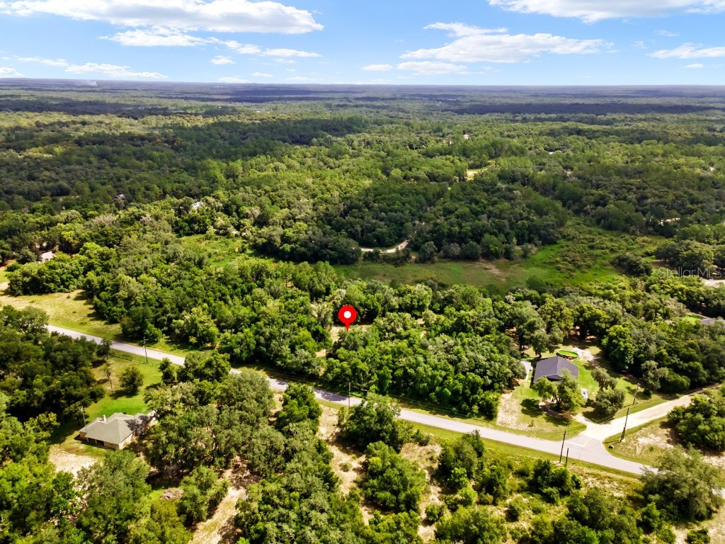 7064 Norman Street Webster FL 33597 T3545690 image1