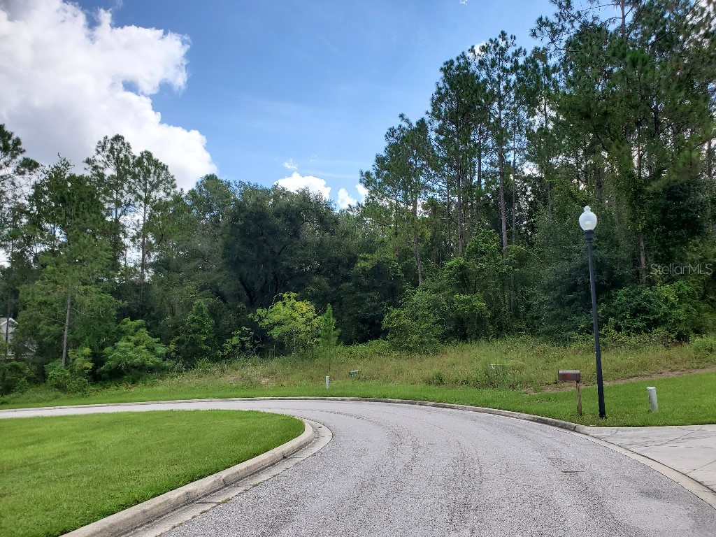 7065 Norne Lane Mount Dora FL 32757 W7857610 image1